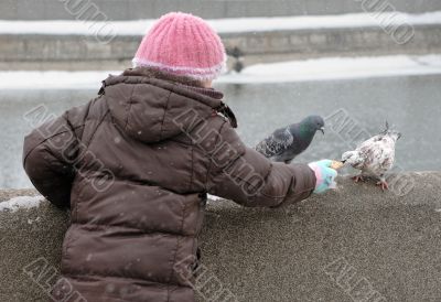 Feeding pigeons in winter.