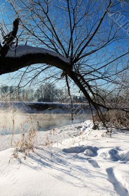Frosty winter morning