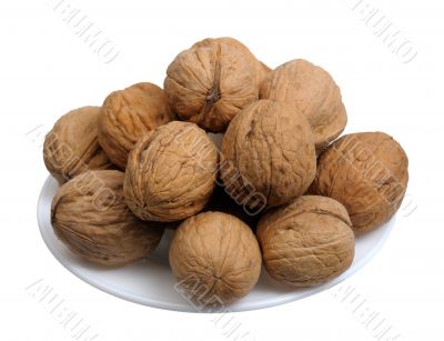 Walnuts, isolated
