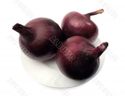 Purple onions, isolated