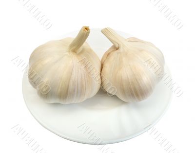 Garlic, isolated