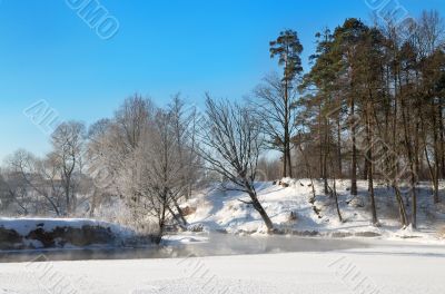 Frosty winter morning