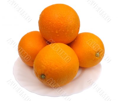 Oranges, isolated