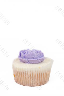 Vanilla cupcake with rose topping