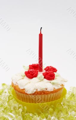 Vanilla cupcake with basketweave icing and roses