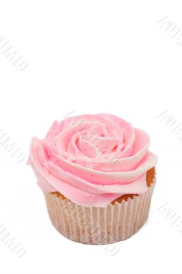 Vanilla cupcake with rose icing