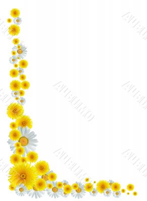 Flowers Border