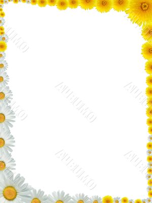 Flowers Frame
