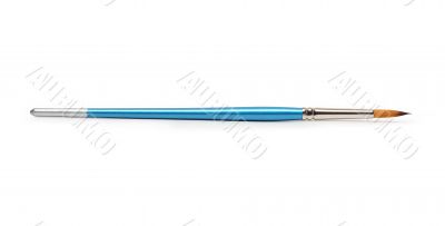 Blue Paintbrush