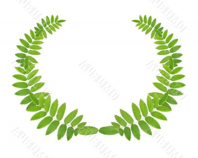 Green Wreath