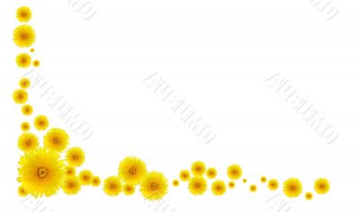 Yellow Dandelions Border