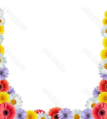 Flower Border