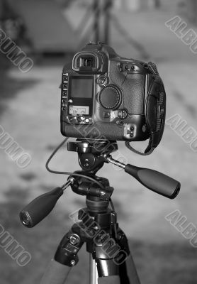 camera