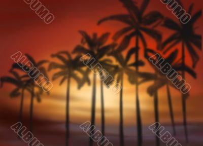 red sunset