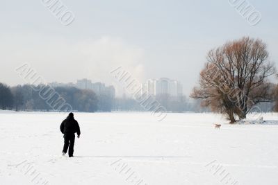 Winter walk with the dog.