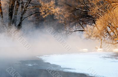 Frosty winter morning