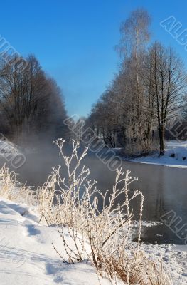 Frosty winter morning