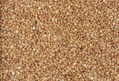 Buckwheat