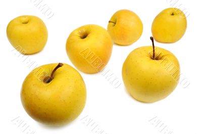 Yellow apples, isolated