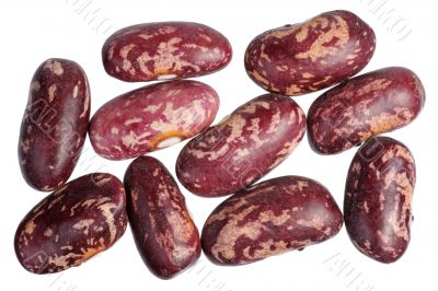 Spotted beans, isolated