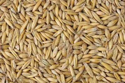 Oats