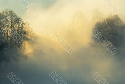 Frosty winter morning