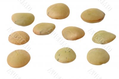 Lentils
