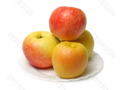 Apples