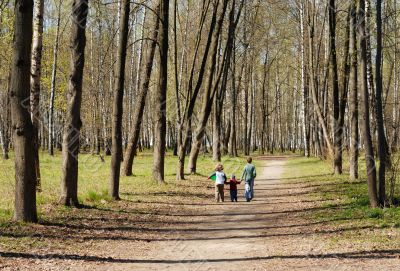 Walk in the Park