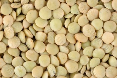 Lentils