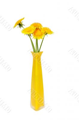 Banch Of Dandelions