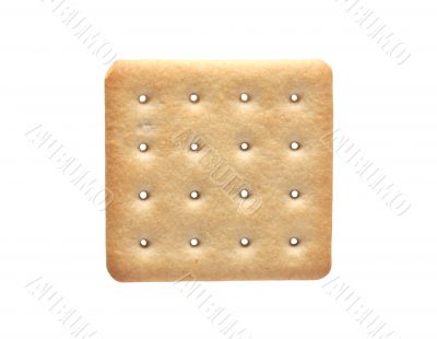 Cracker On White