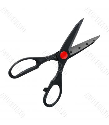 Modern Black Scissors