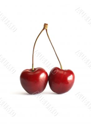 Sweet Cherry On White