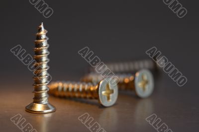Screws Macro