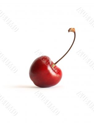 Sweet Cherry On White