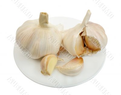 Garlic, isolated