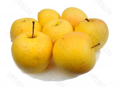 Yellow apples, isolated