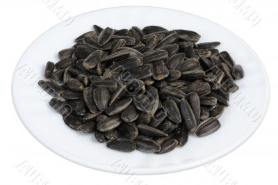 Sunflower seeds, isolated