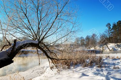 Frosty winter morning