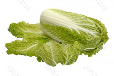 Beijing cabbage, isolated