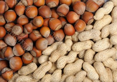 Walnuts and peanuts
