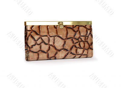 Leather Change Purse