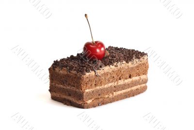 Chocolate Sponge Cake