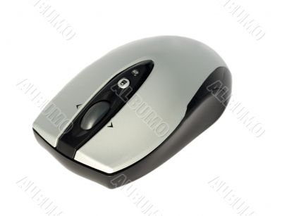 Wireless Mouse