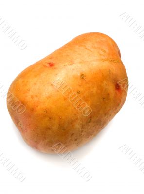 potato