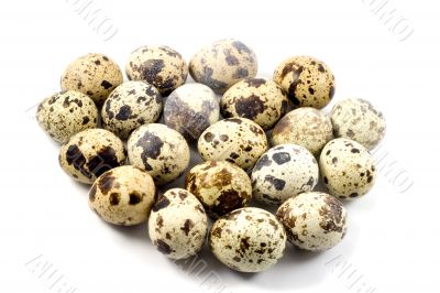 Quail eggs in egg shape  