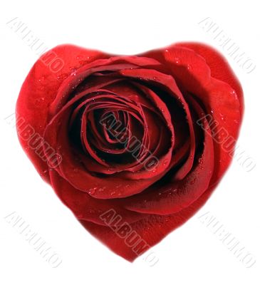 heart
