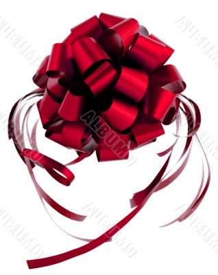 gift bow