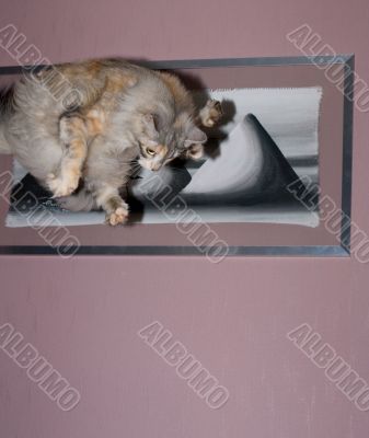 flying cat